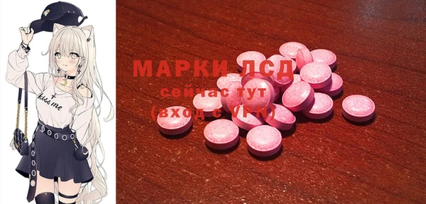 mdpv Медвежьегорск
