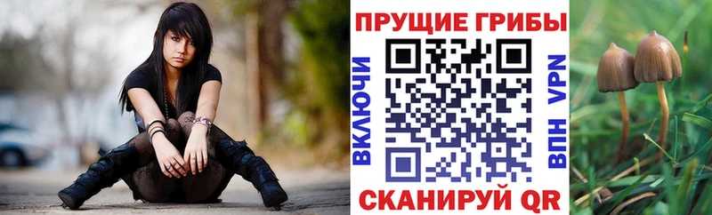 Псилоцибиновые грибы Magic Shrooms  Купить  Сафоново 